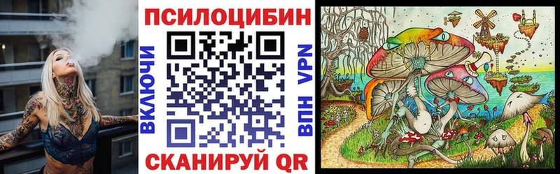 купить   Верхняя Пышма  Галлюциногенные грибы GOLDEN TEACHER 